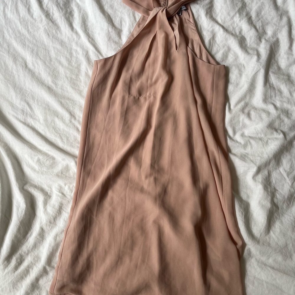 Naked Zebra Blush Tie-Neck Top
